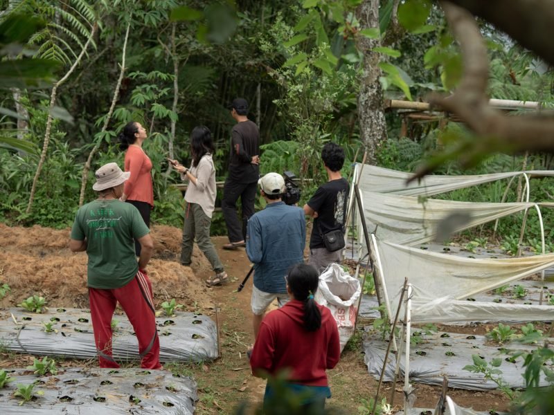 DSC04200-1 DSC04200-1