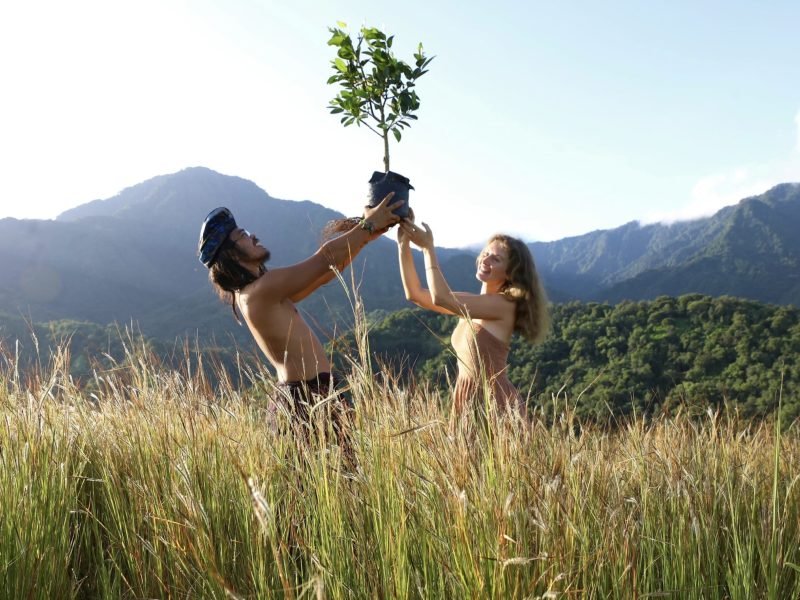 eeecc2c7-ccec-432d-b9e1-f1f52345e050 eeecc2c7-ccec-432d-b9e1-f1f52345e050