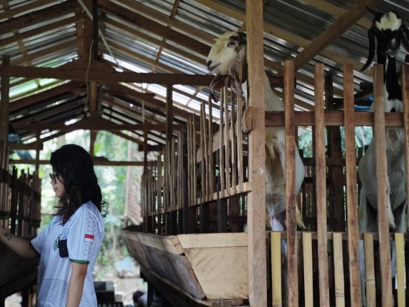 f2e31c38-bdb0-4951-a6d7-21bbd1a8279b f2e31c38-bdb0-4951-a6d7-21bbd1a8279b